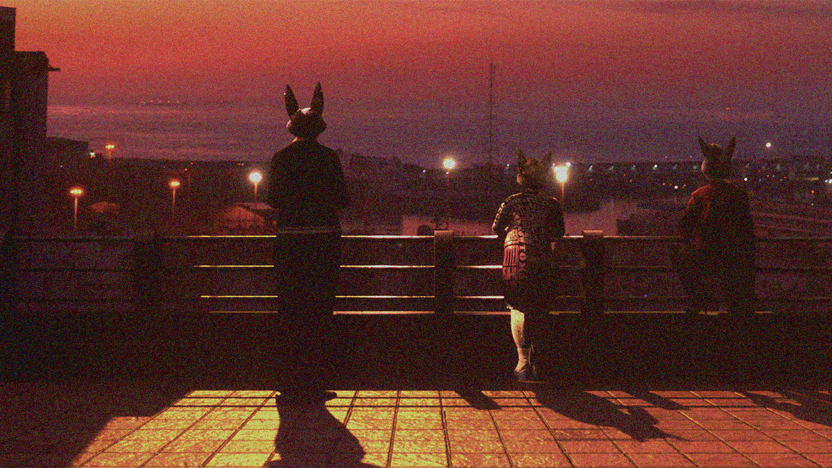 A night scene with three figures (personified coyotes) standing with back to the camera against a railing to look out at the cityscape in the distance.