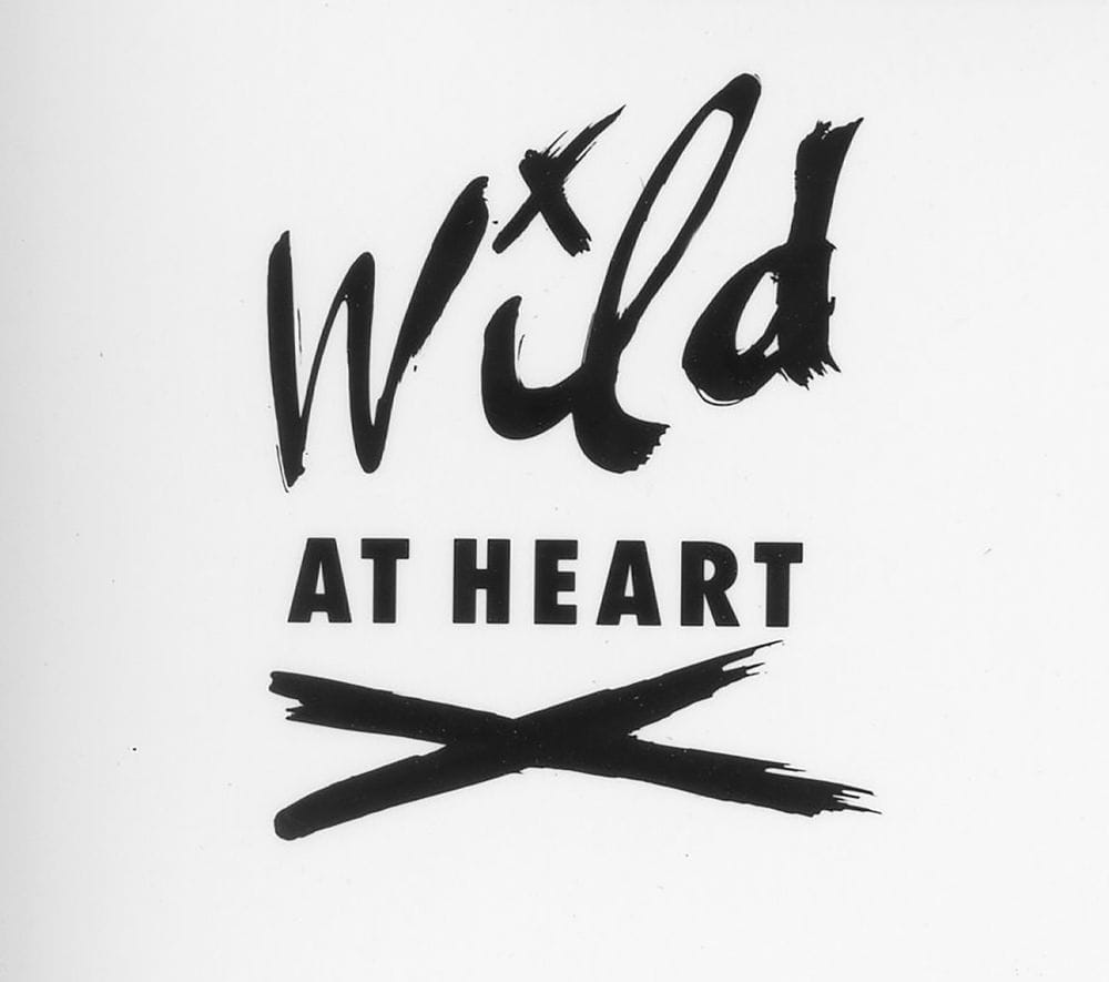 Press kit title treatment for Wild at Heart with handdrawn brushstroke font for "wild" above an all-caps sans-serif for "at heart" all above a brushed "x" that spans the width.
