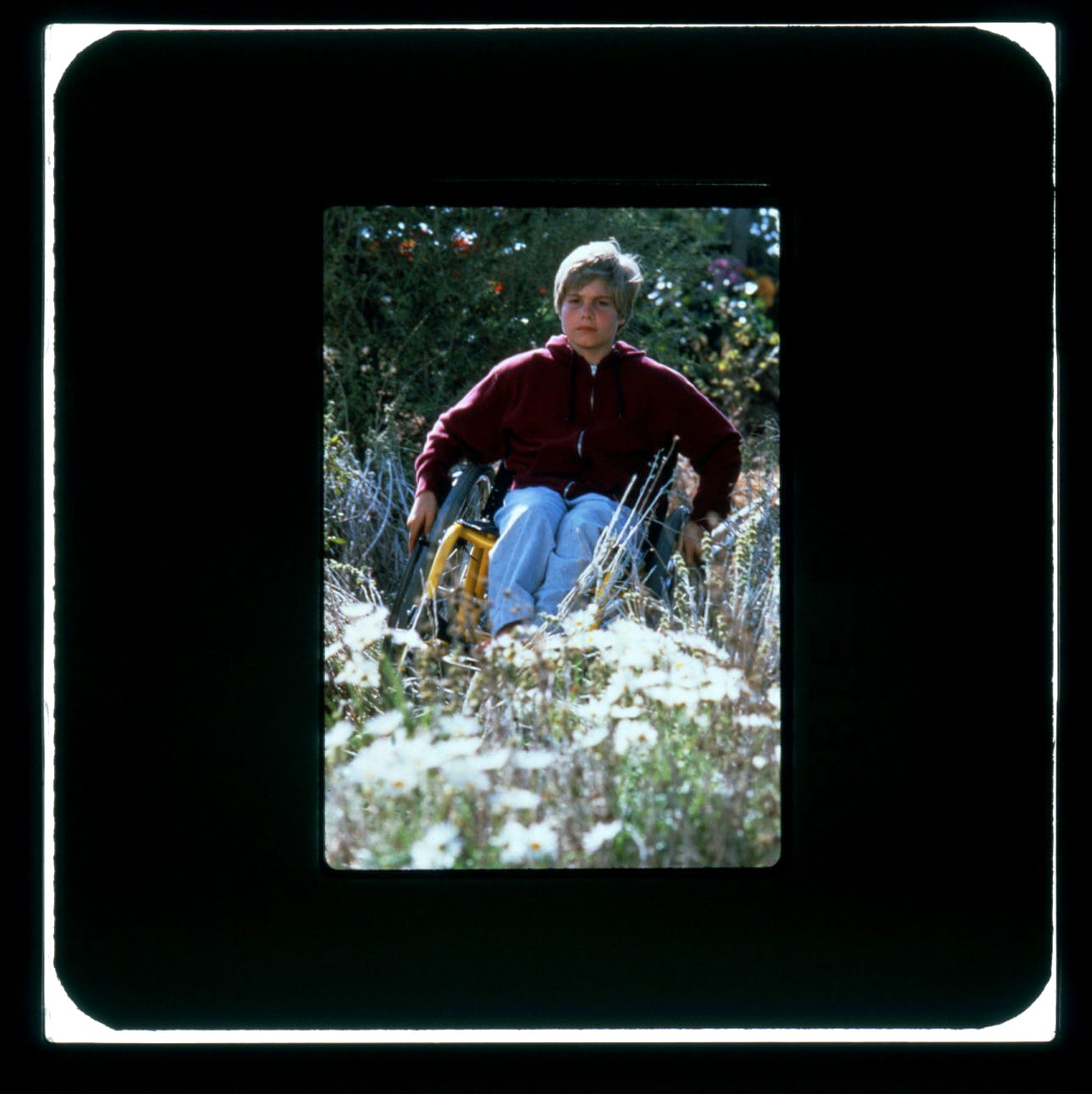Color publicity slide of a boy in a wheelchair outside in tall grass.