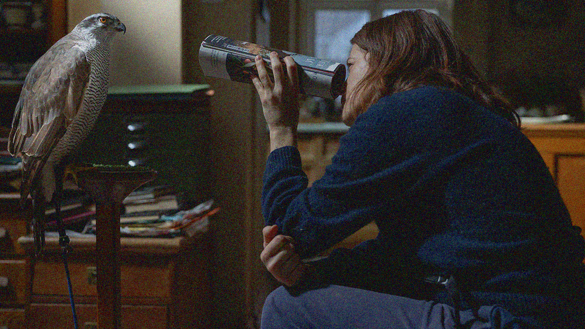 A woman at right looks through a rolled up magazine at a Goshawk at left.
