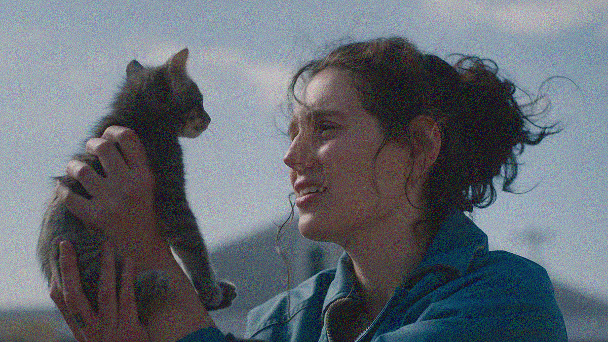 Close-up of a woman cradling a kitten in her hands to look it in the eyes.